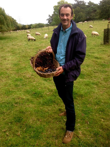 Ian Gibbins